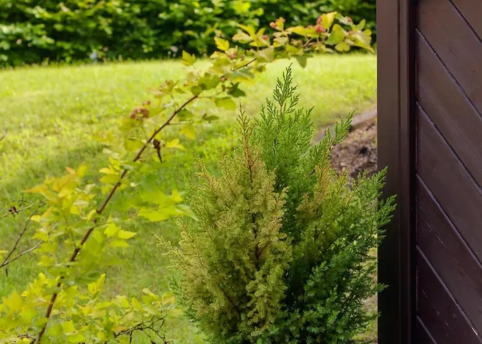 Self-check In Seeglueck *