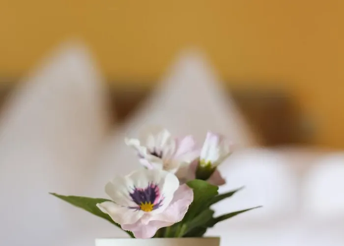 Self-check In Seeglueck Hostel Pörtschach am Wörthersee